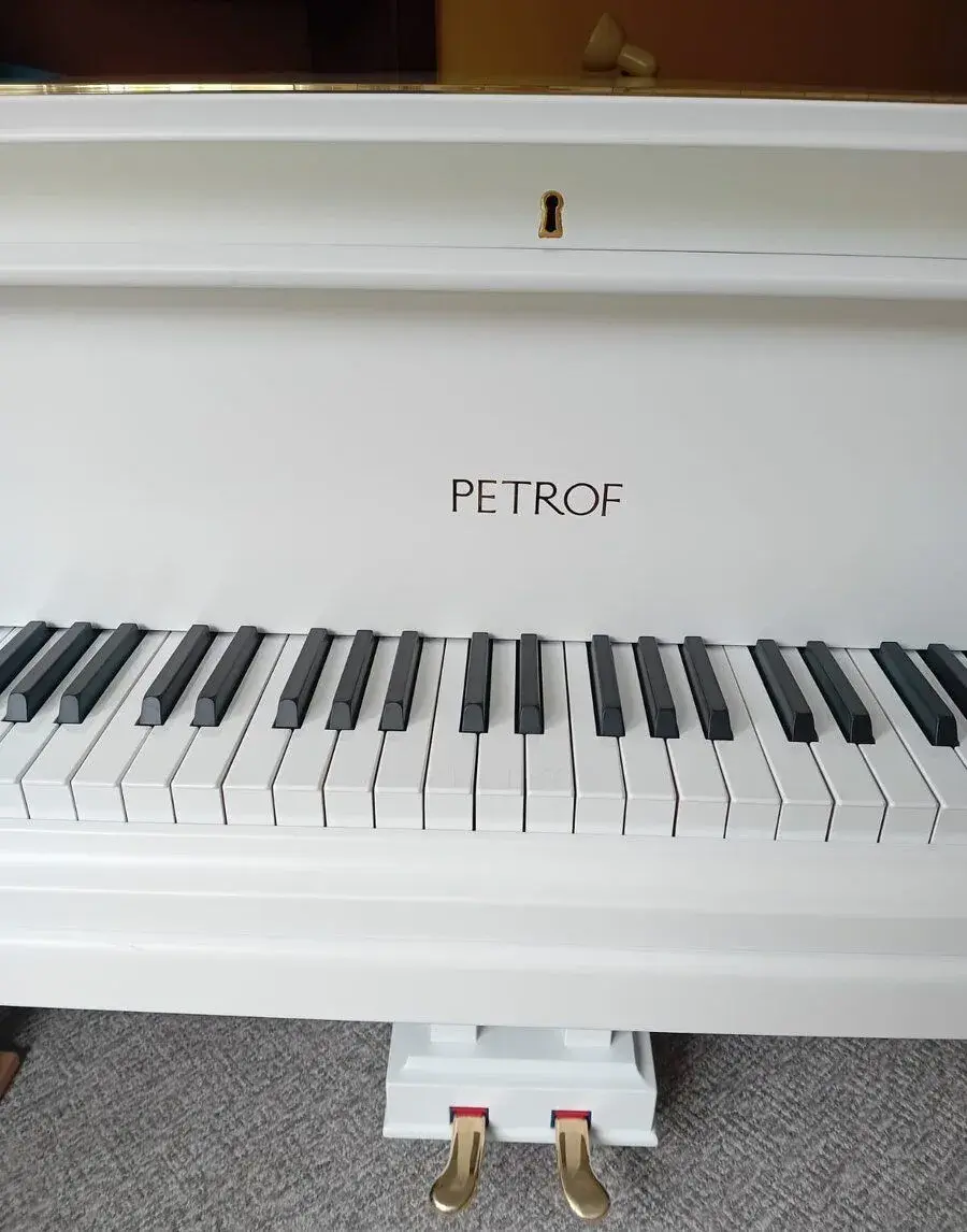 Klavír PETROF model V (160cm)