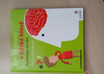 Kniha Jak to chodí v lidské hlavě