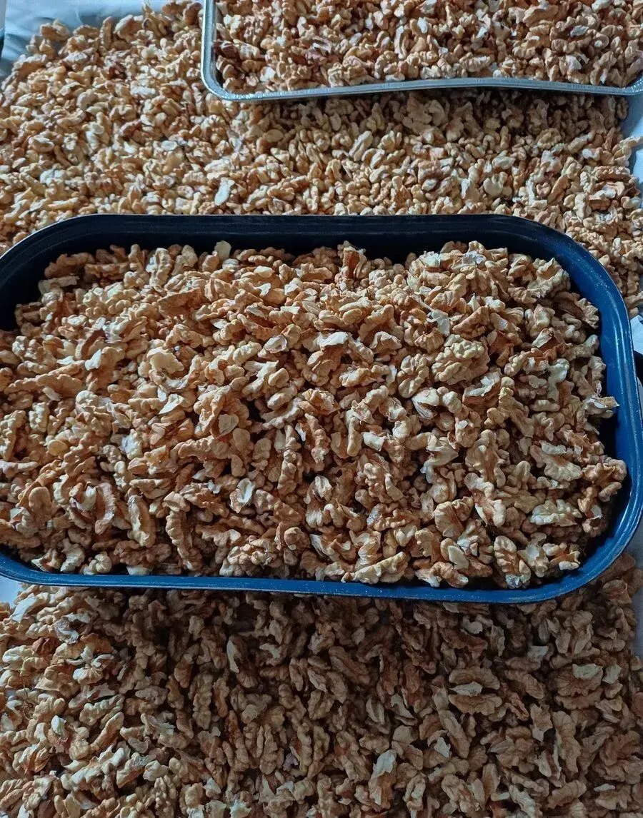 letošní loupané vlašské ořechy