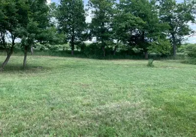 Volnočasový pozemek 8.000 m2, Tuřice