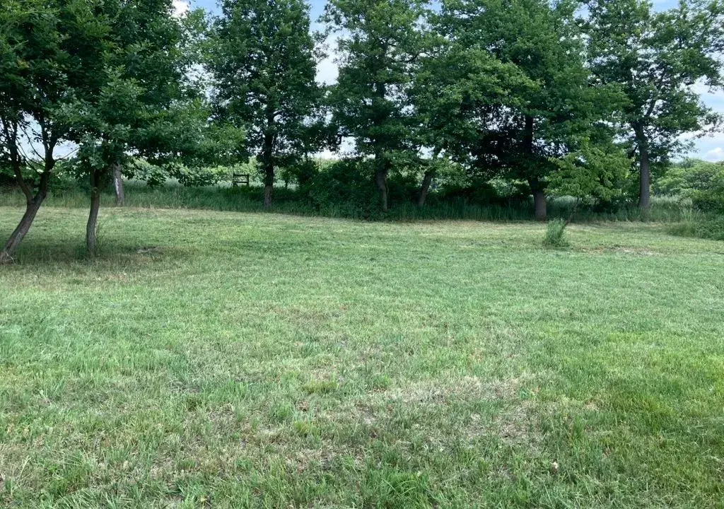 Volnočasový pozemek 8.000 m2, Tuřice