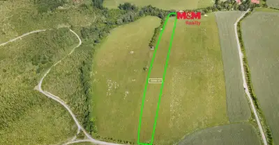Prodej louky, 18398 m², Hranice - Středolesí