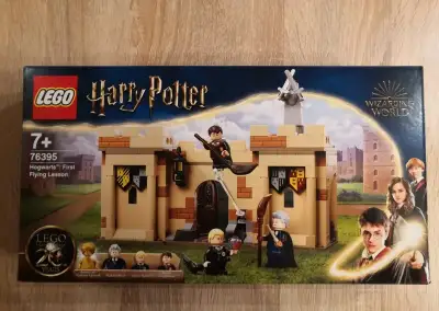 Lego 76395 - Harry Potter Hodina létání