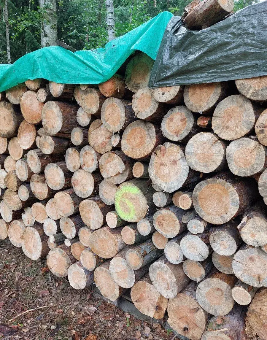 Palivové dřevo "suché"