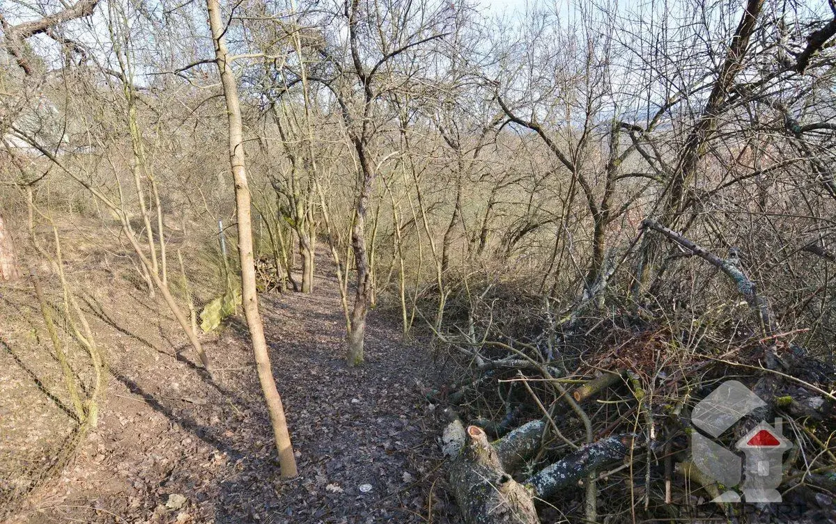 Na prodej zahradu o výměře 207 m2, Brno - Medlánky.