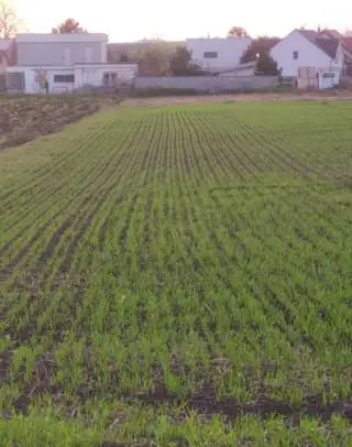 Pozemek Kobylnice u Brna