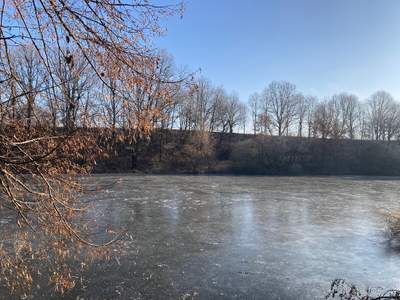 Zahrada blízko Orlíku, v obci Chřešťovice, 460Kč/m2