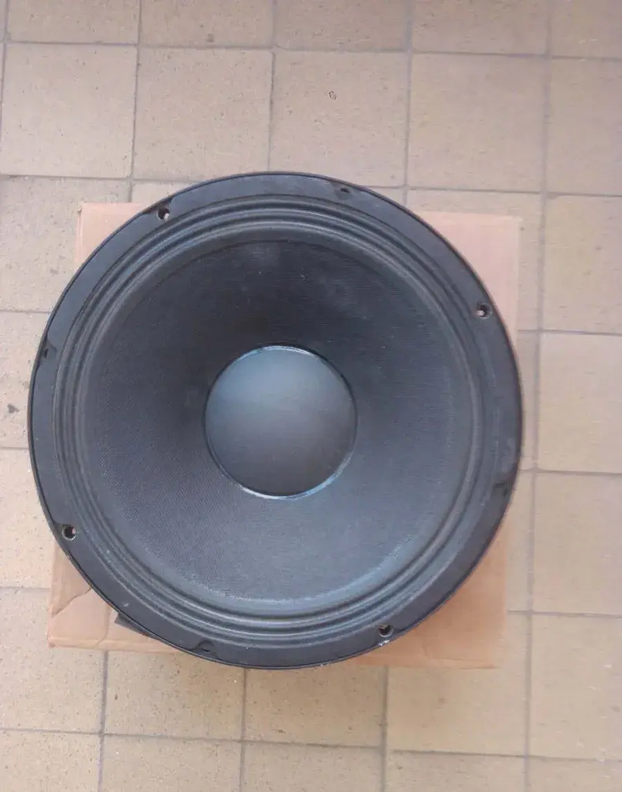 12" Electro Voice
