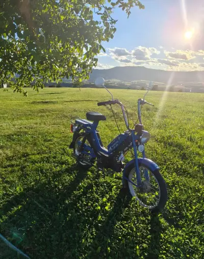 Babetta 215