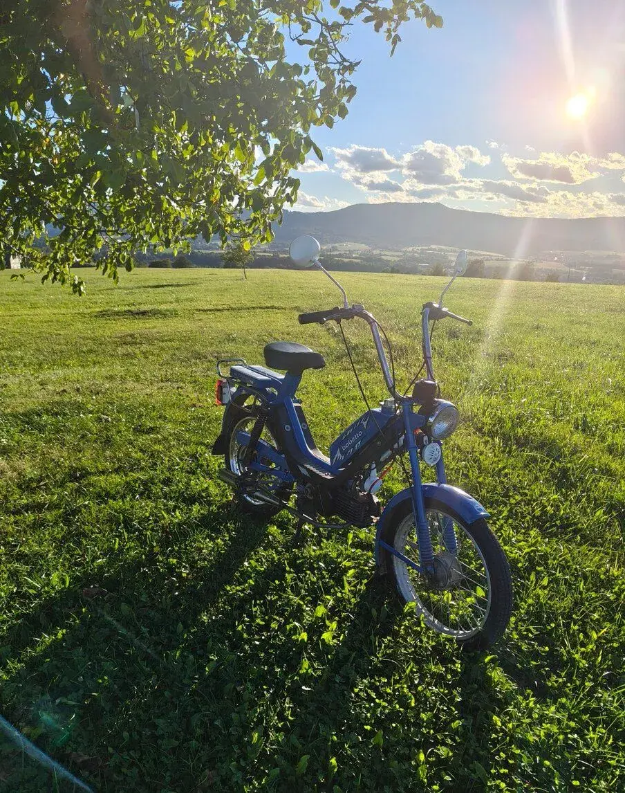 Babetta 215