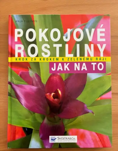 NOVÉ Pokojové rostliny krok za krokem - jak na to