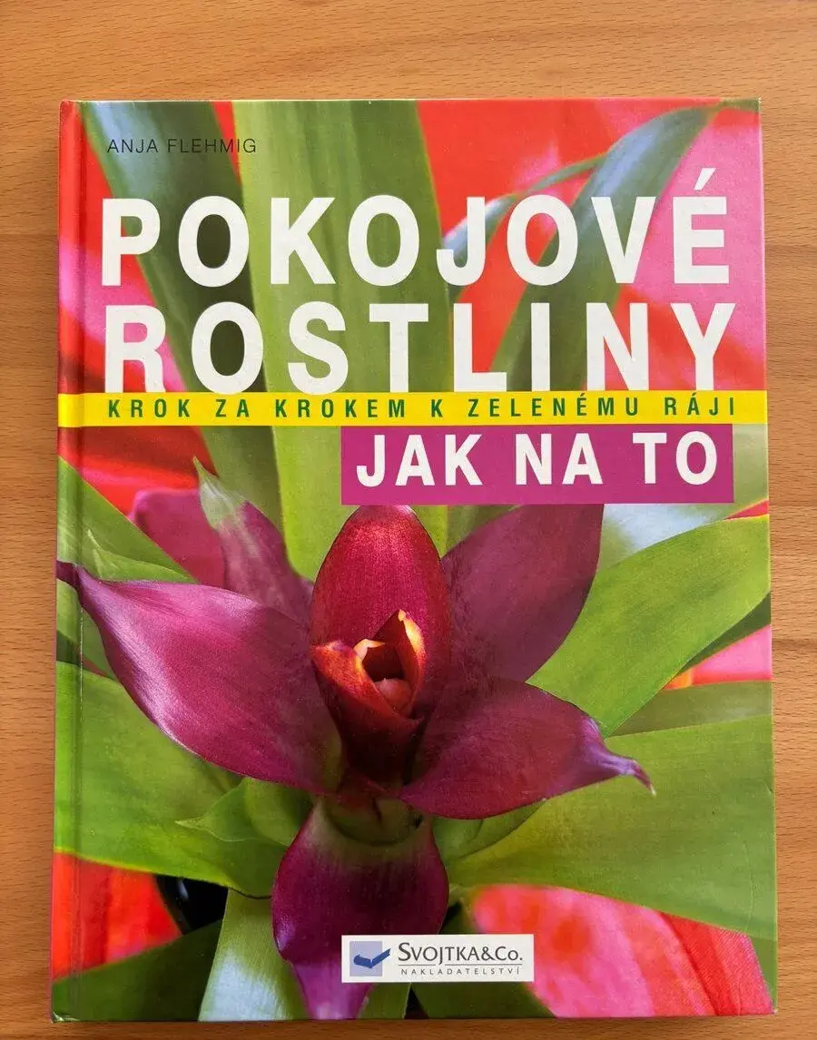 NOVÉ Pokojové rostliny krok za krokem - jak na to