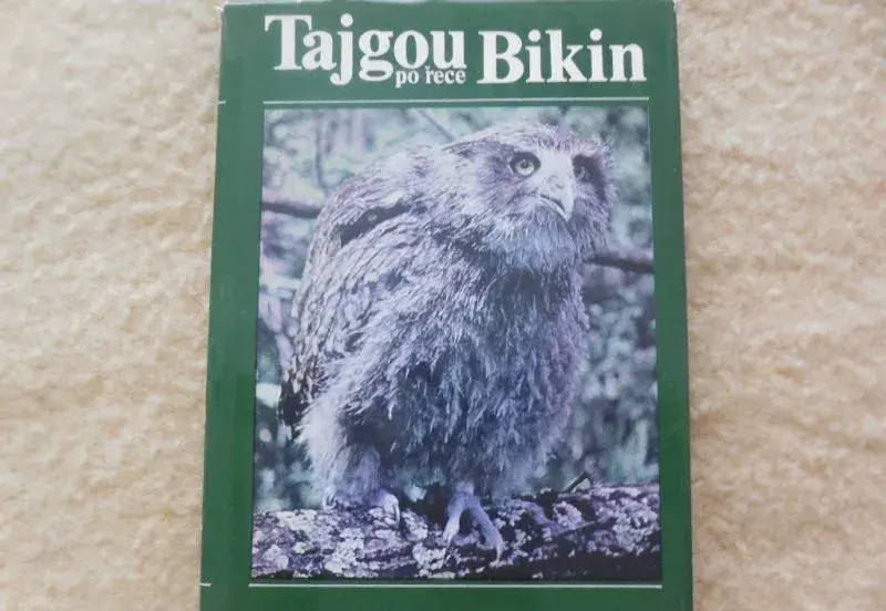 Tajgou po řece Bikin.