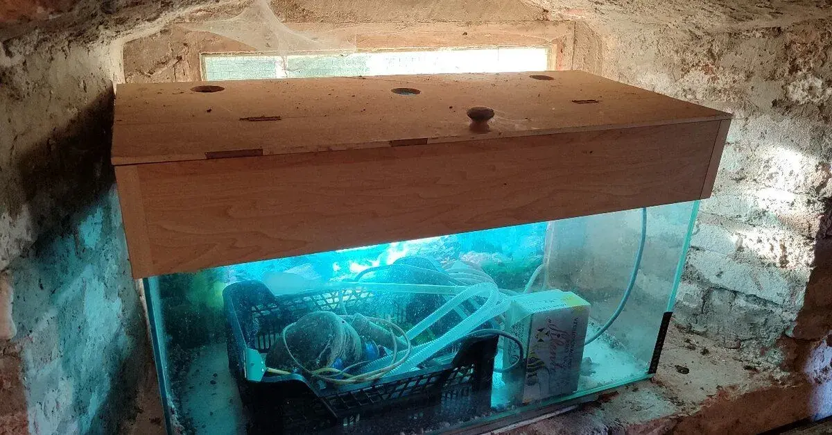 Aquarium s doplňky