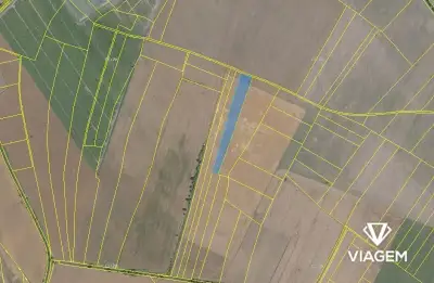 Pole 5 900 m²