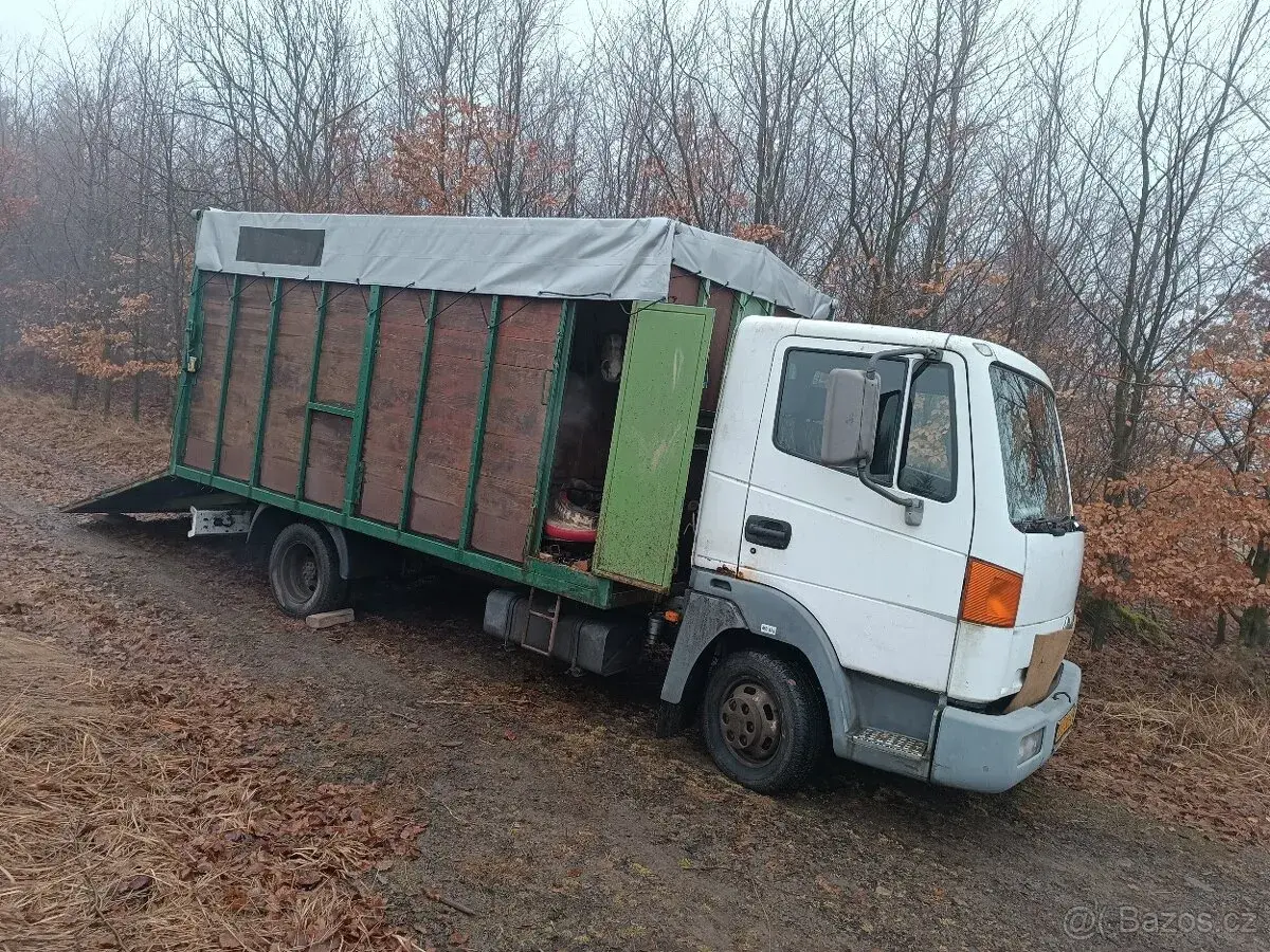 Nissan atleon – 2000