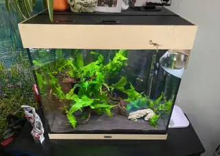 Akvarium juvel lido 120