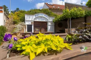 Prodej, sklep a dům pro vinaře, Hustopeče