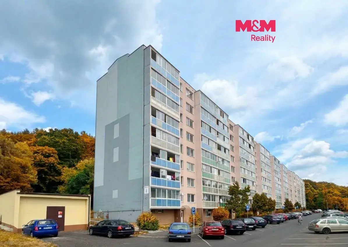 Prodej bytu 4+1, 83 m²,DV, Litvínov, ul. Luční