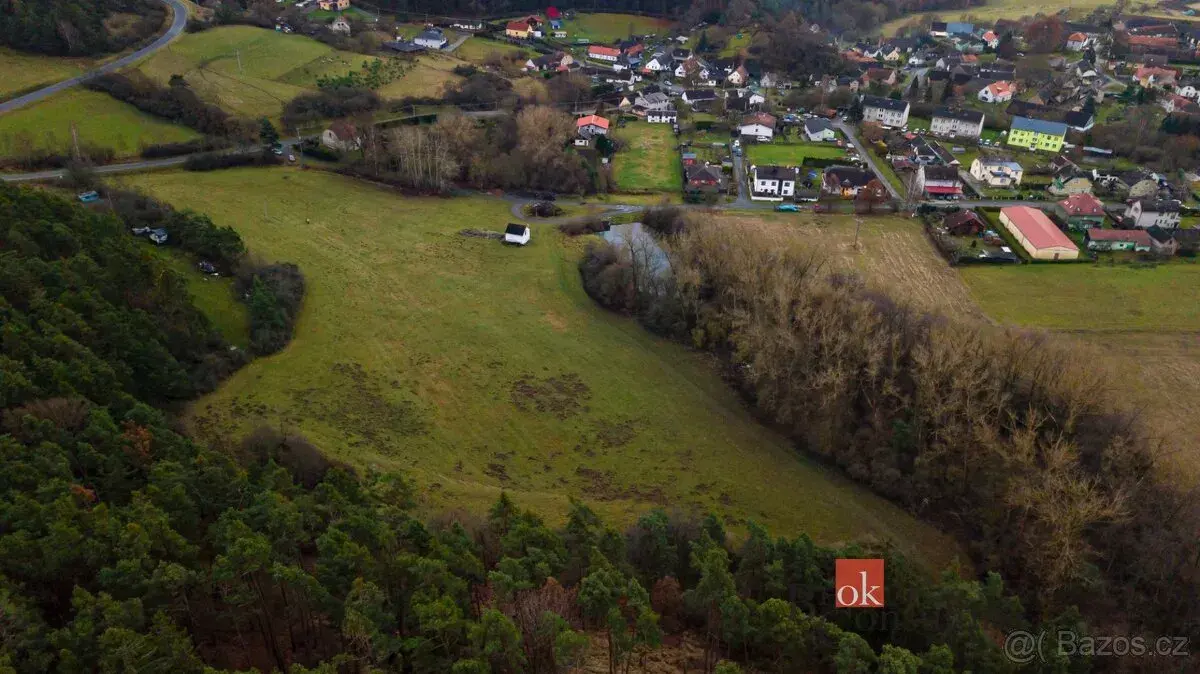 Prodej, pozemky/bydlení, 6000 m2, Babina , Plasy, Plzeň-seve