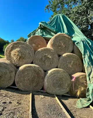 Kulaté balíky - seno