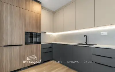Pronájem bytu 2+kk o velikosti 59 m², s terasou 12