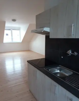 pronájem bytů