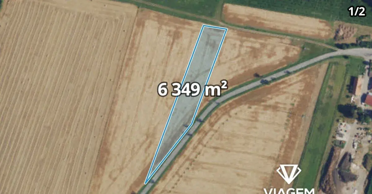 Pole 7 338 m², Podíl 23 % o výměře 1 651 m²