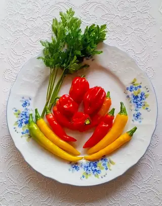 Domácí pálivé papričky / chilli (červené, žluté, zelené)