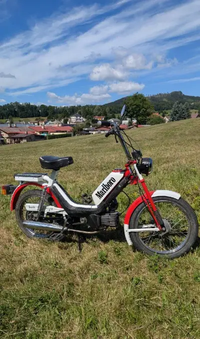 Babetta 210