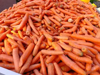Krmiva