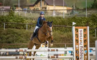 Pony - kategorie B