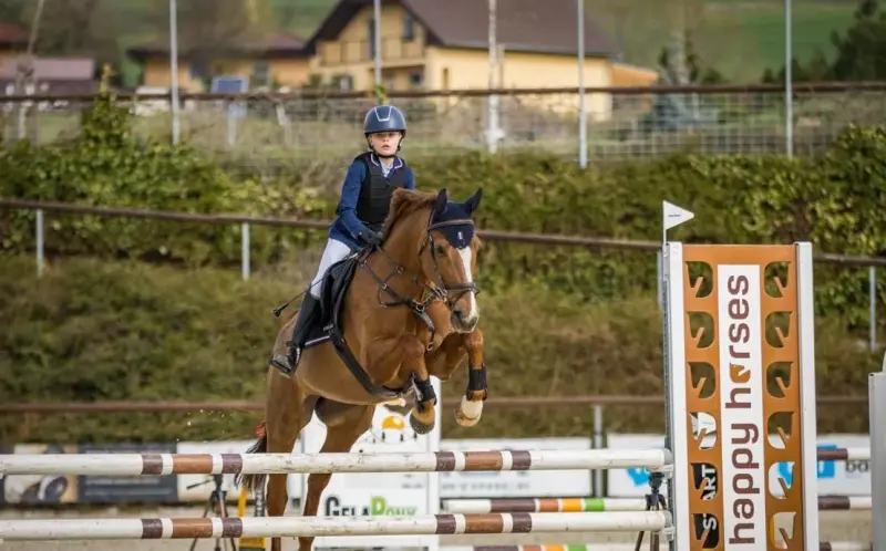 Pony – fotka z inzerátu