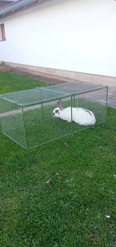 Klec pro drobná zvířata