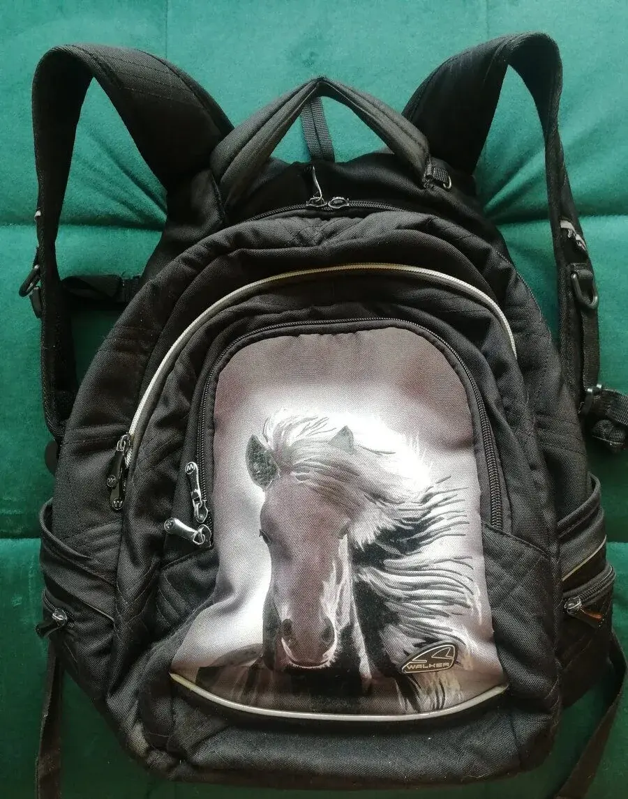 Školní batoh