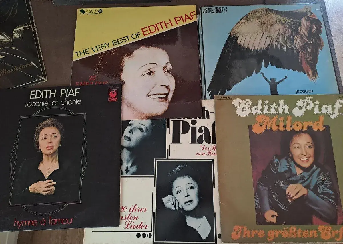 15x LP - Edith Piaf - Hegerová - Olmerová- Hapka, Čerovská