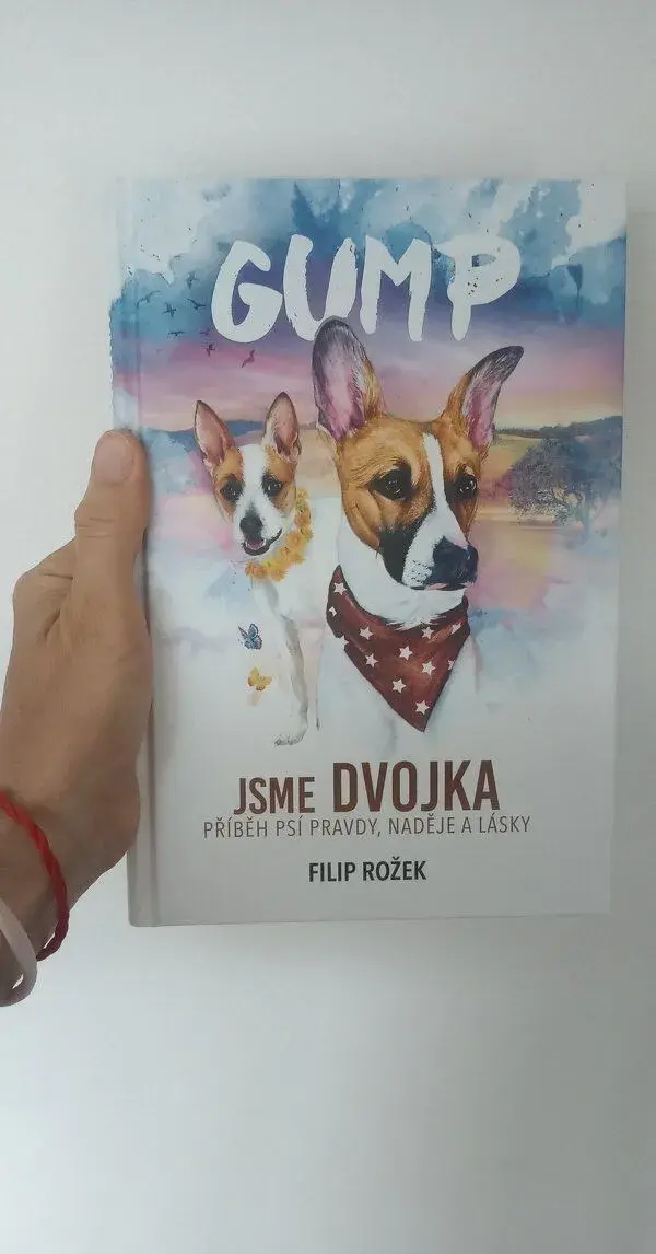 Kniha Gump 2