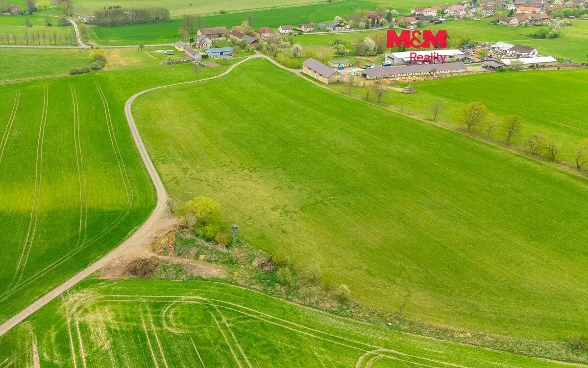 Prodej louky, 730 m², Olešnice