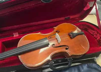 viola mistrovská 42
