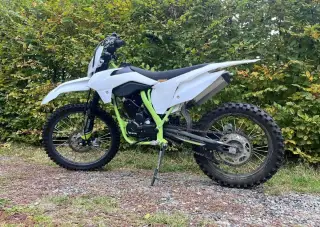 Leramotors 250