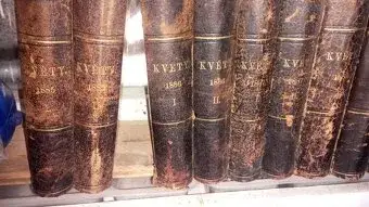 Časopis Květy 1885-1889