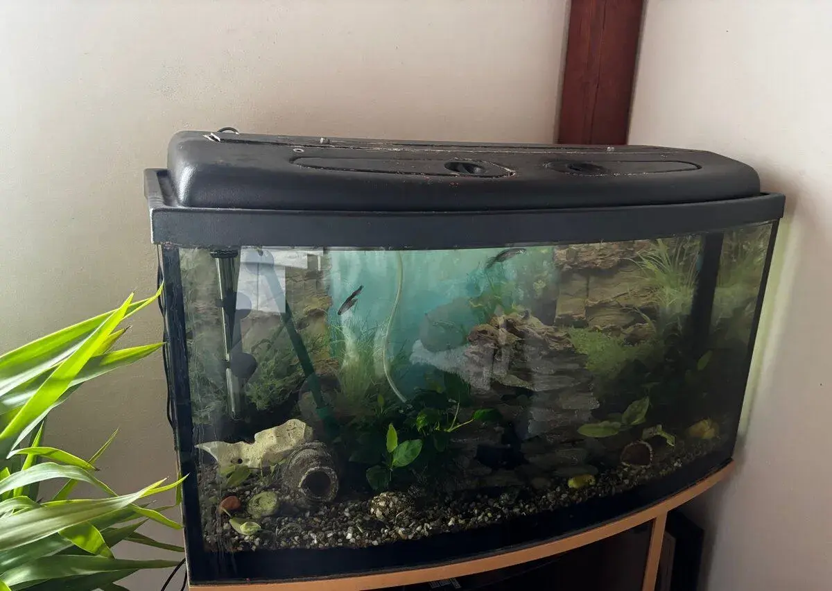 Akvárium s mini rybkami + vybavení – 1 500 Kč 🐟