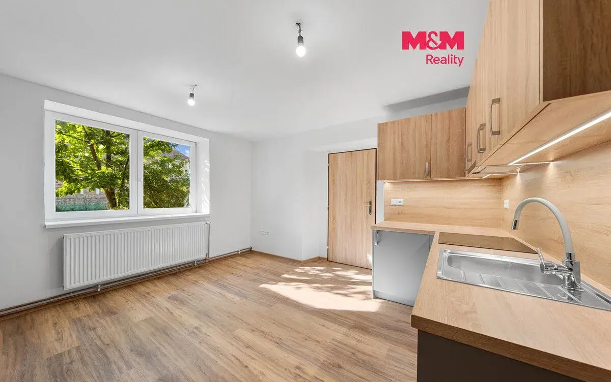 Prodej rodinného domu, 400 m², Blšany u Loun