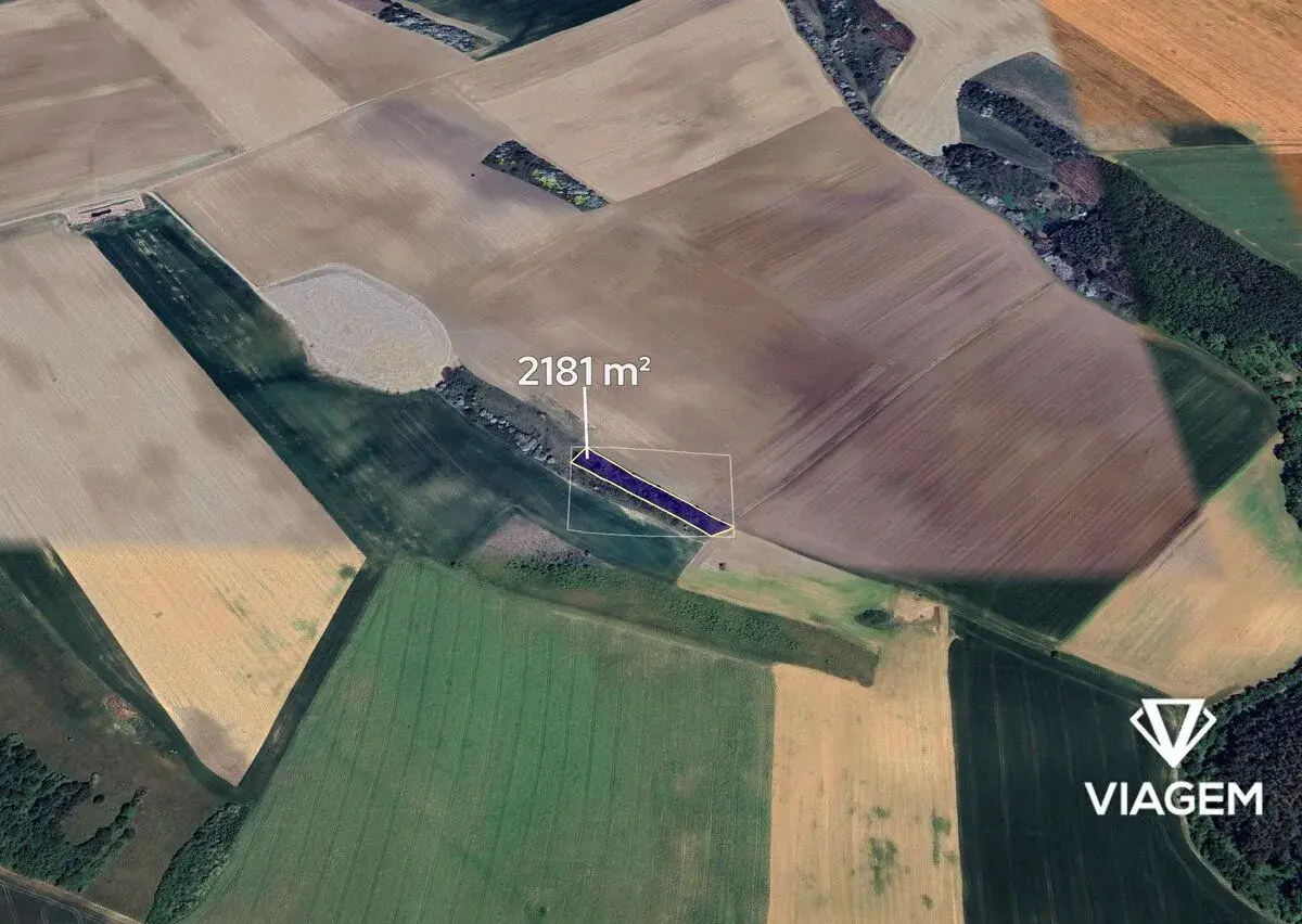 Pole 2 181 m², Podíl 33 % o výměře 727 m²