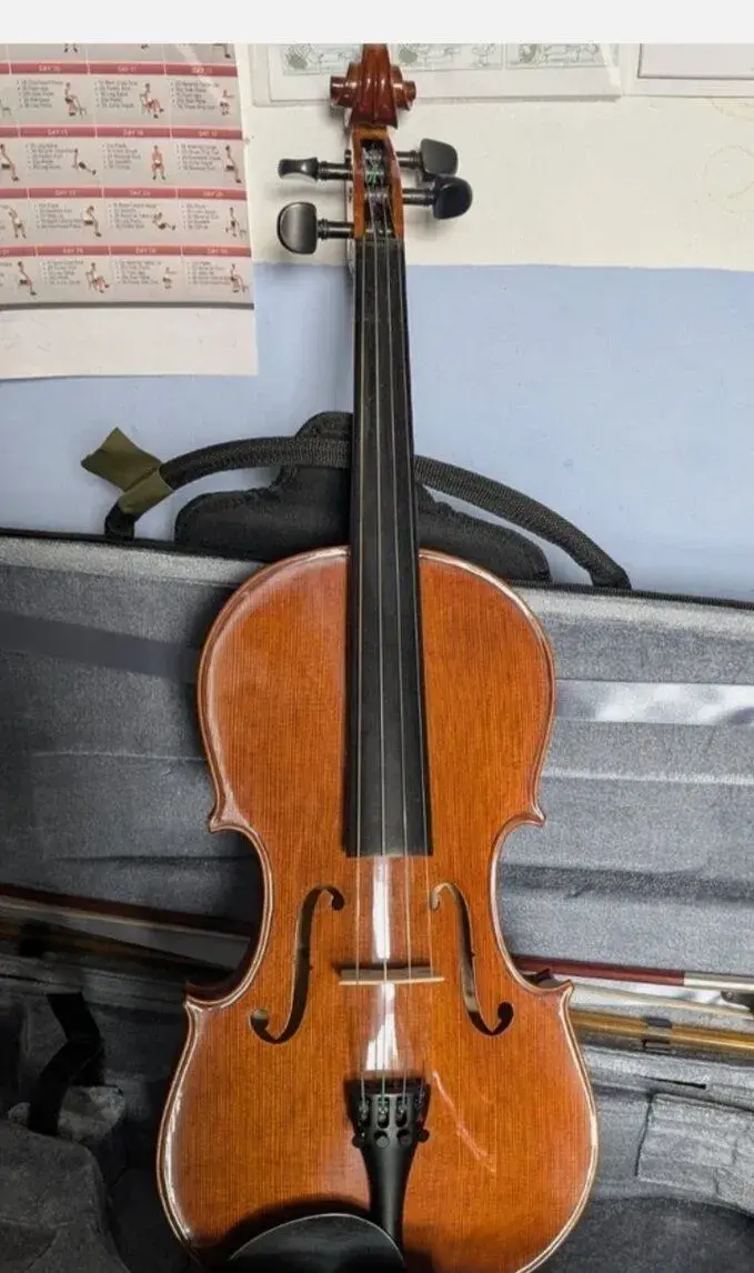 Viola 40.5 cm