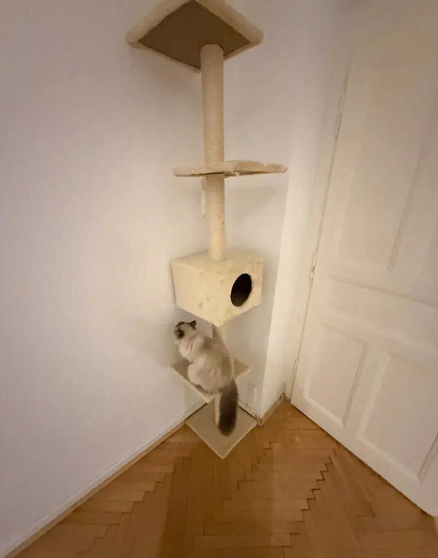 Škrabadlo Magic Cat Adela béžové 285 cm