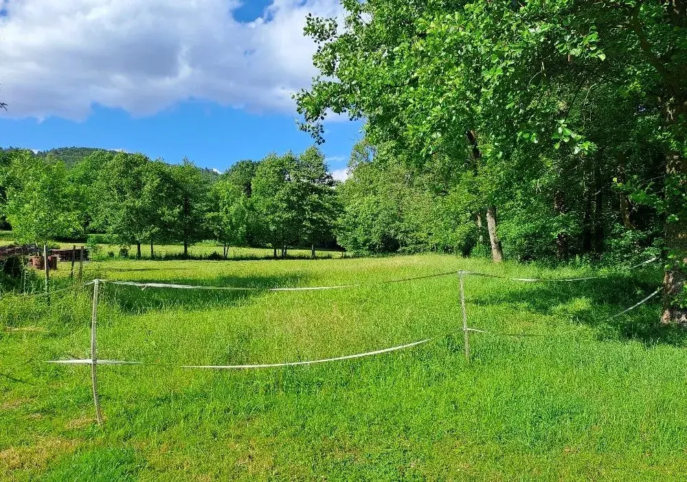 Ustájení / společník