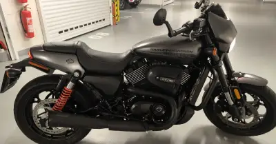 Harley Davidson Street Rod nová cena