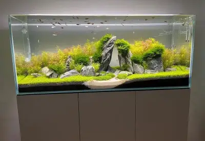 Akvarium Opti white 240 l + skříňka,kryt a světlo