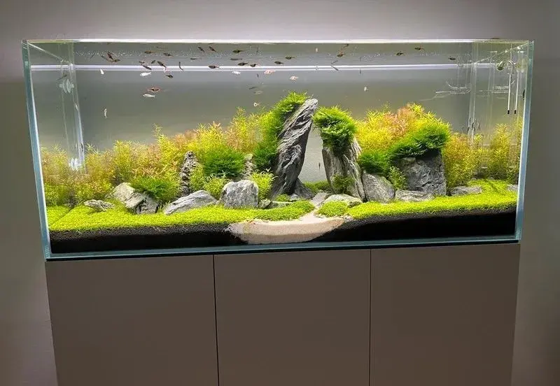 Akvarium Opti white 240 l + skříňka,kryt a světlo